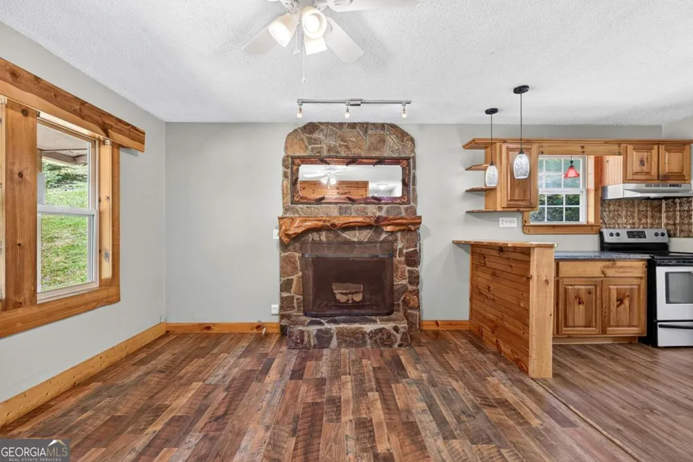 120 Old Hollow RD Blue Ridge, GA 30513