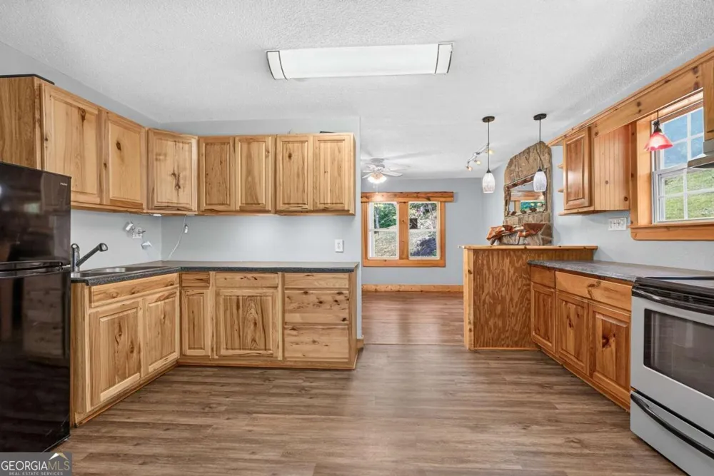 120 Old Hollow RD Blue Ridge, GA 30513