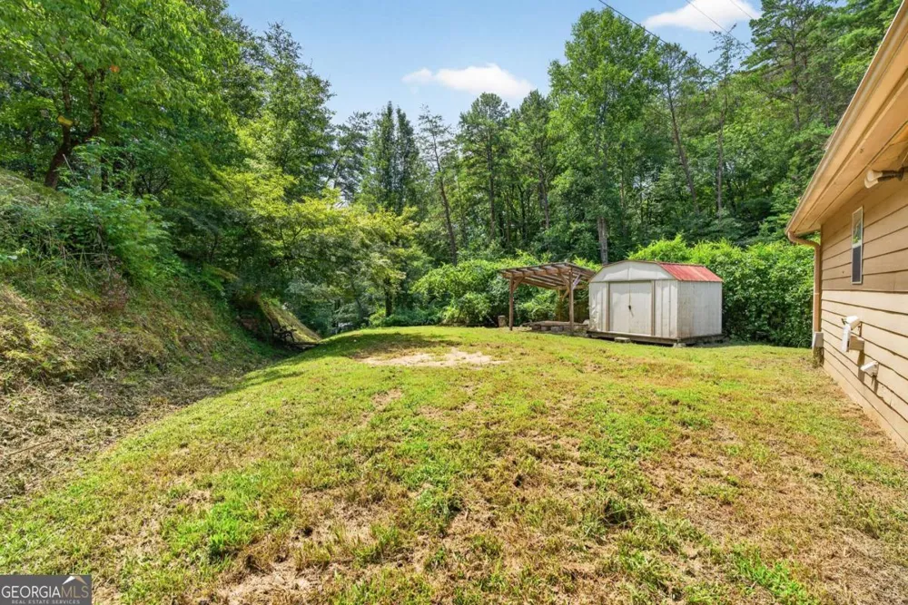 120 Old Hollow RD Blue Ridge, GA 30513