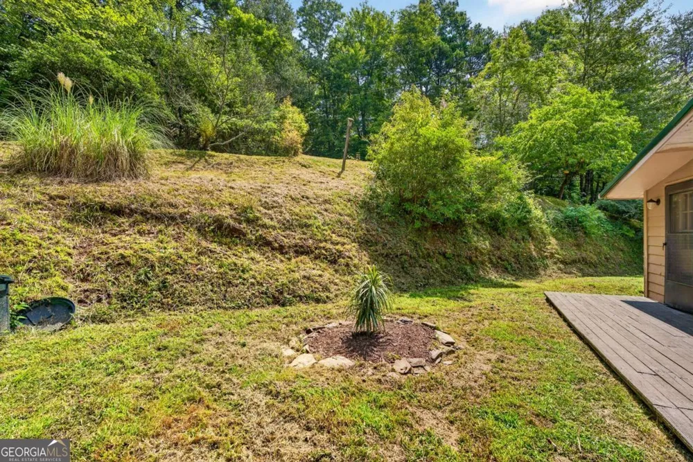 120 Old Hollow RD Blue Ridge, GA 30513