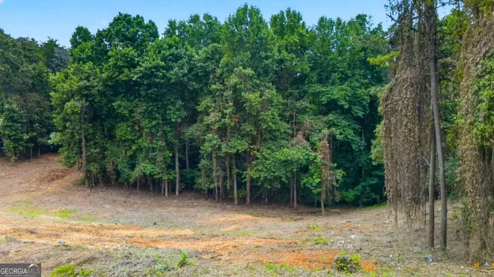 758 Lower Dowda Mill RD Jasper, GA 30143