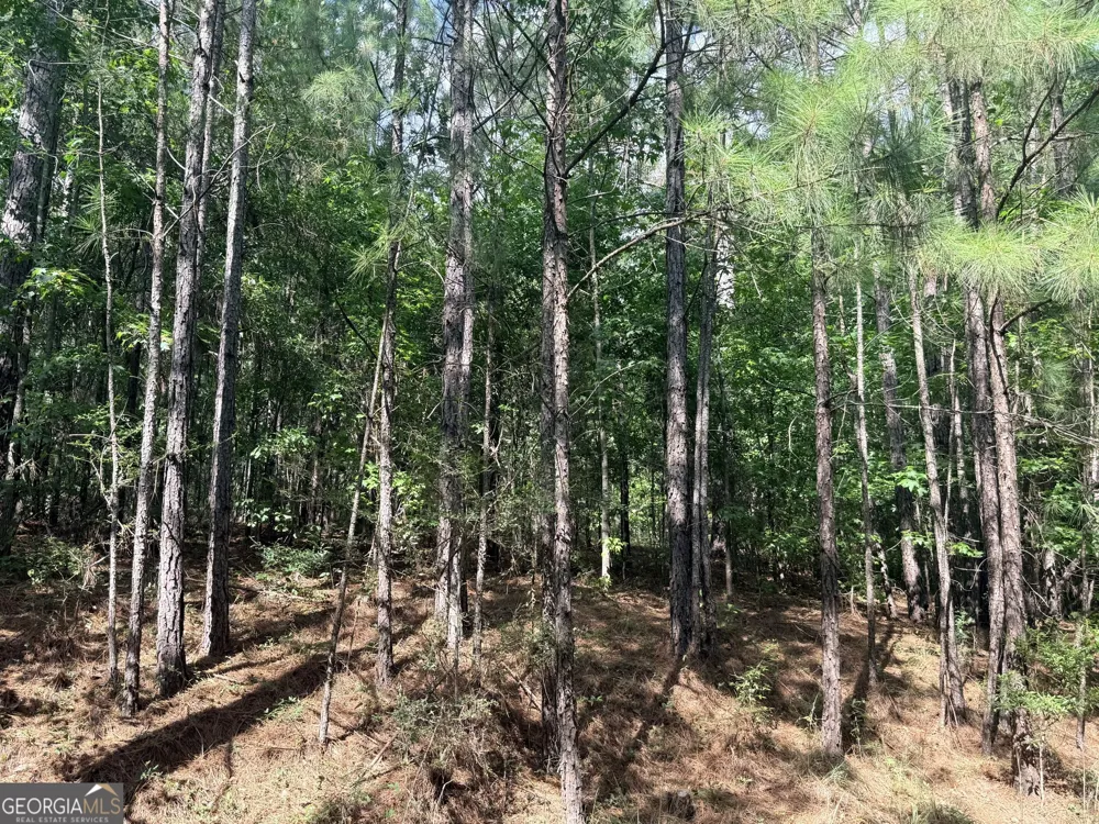 7.725 AC Slalom Pass Forsyth, GA 31029