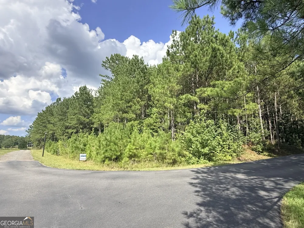 7.725 AC Slalom Pass Forsyth, GA 31029