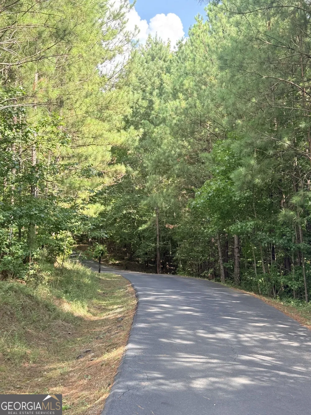 7.725 AC Slalom Pass Forsyth, GA 31029