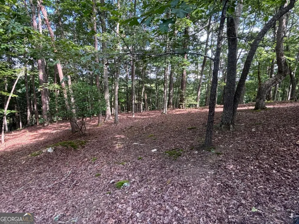 LOT 5 Westwood AVE Blairsville, GA 30512
