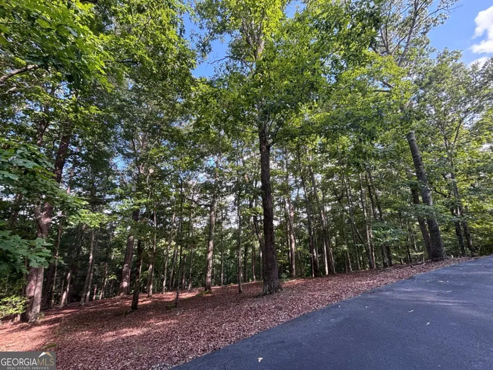 LOT 5 Westwood AVE Blairsville, GA 30512