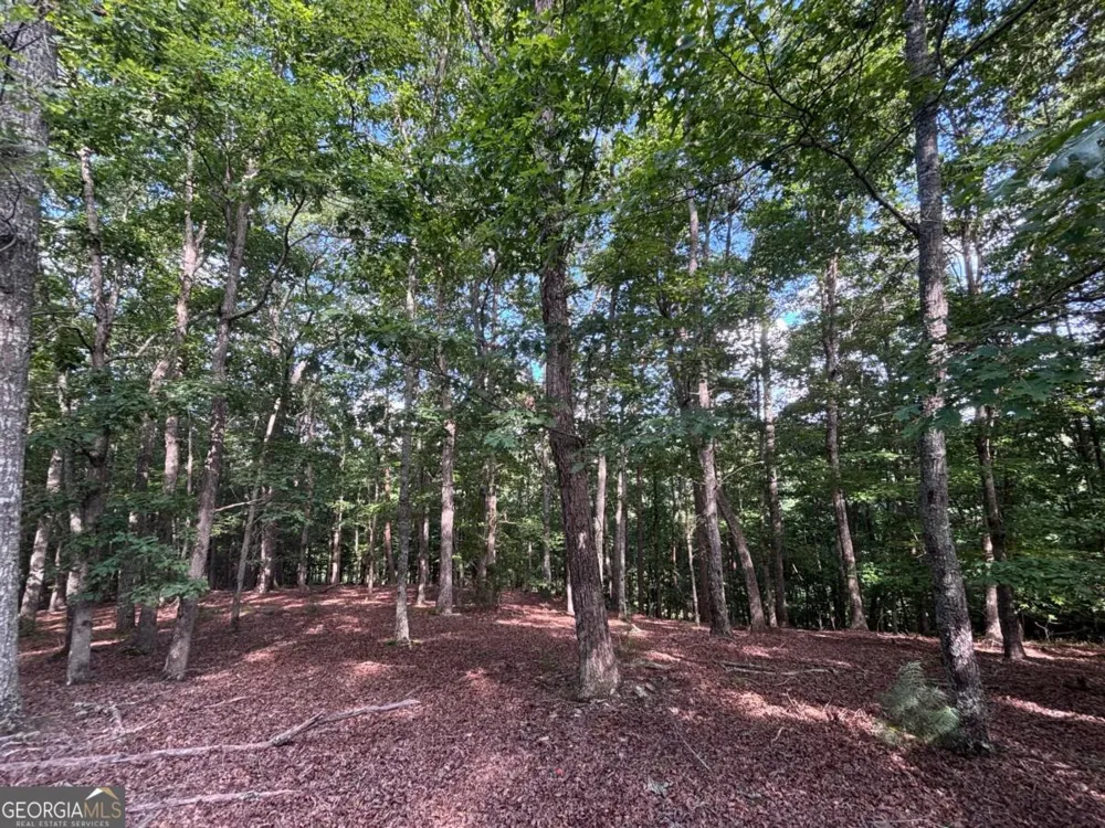 LOT 5 Westwood AVE Blairsville, GA 30512
