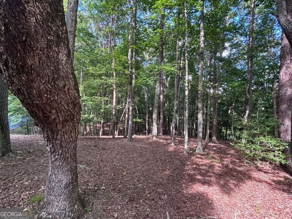 LOT 5 Westwood AVE Blairsville, GA 30512