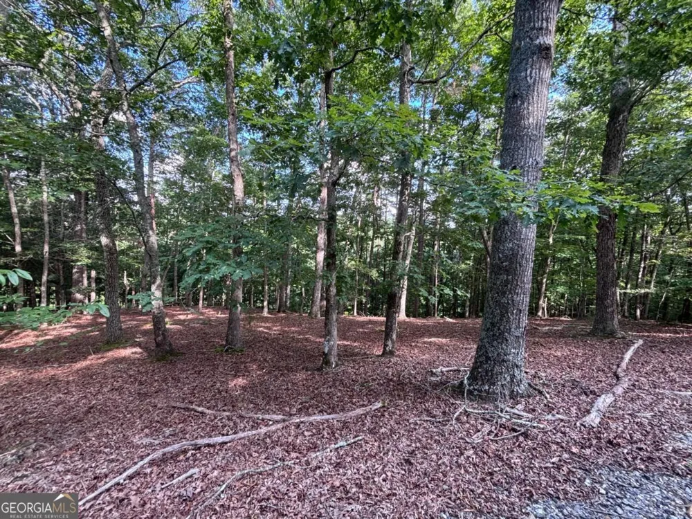 LOT 5 Westwood AVE Blairsville, GA 30512