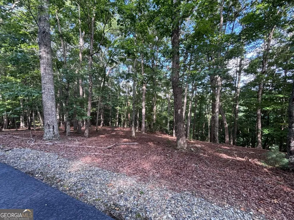 LOT 5 Westwood AVE Blairsville, GA 30512