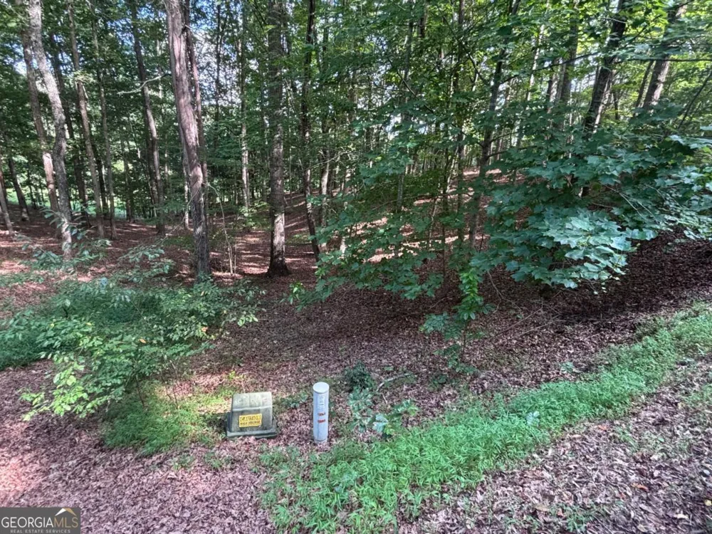 LOT 5 Westwood AVE Blairsville, GA 30512