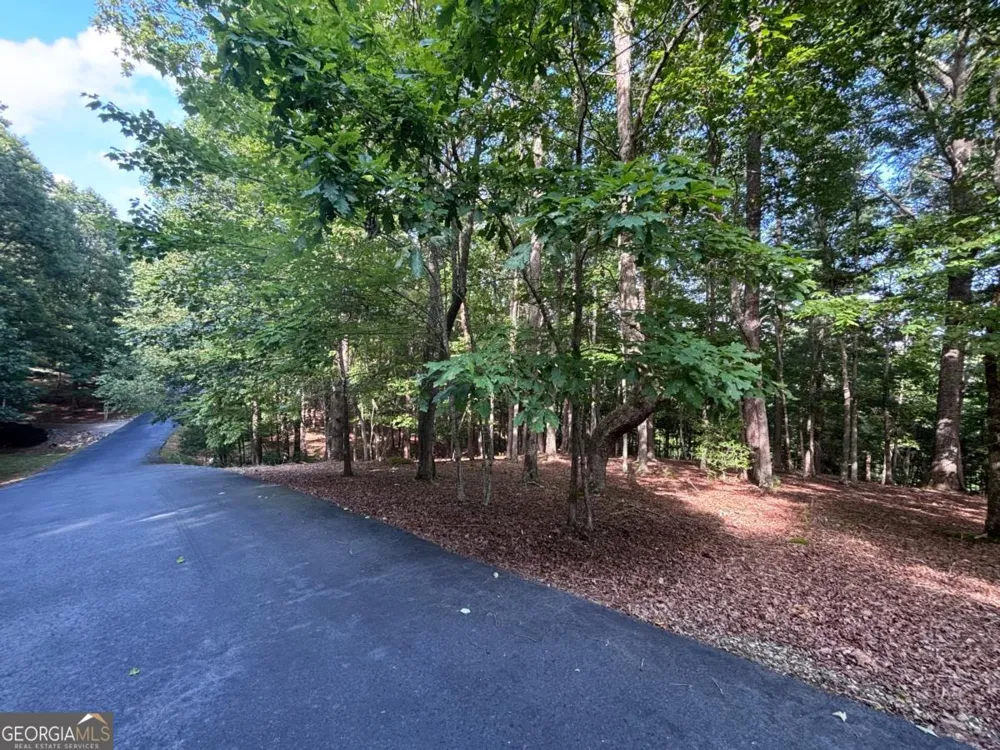 LOT 5 Westwood AVE Blairsville, GA 30512