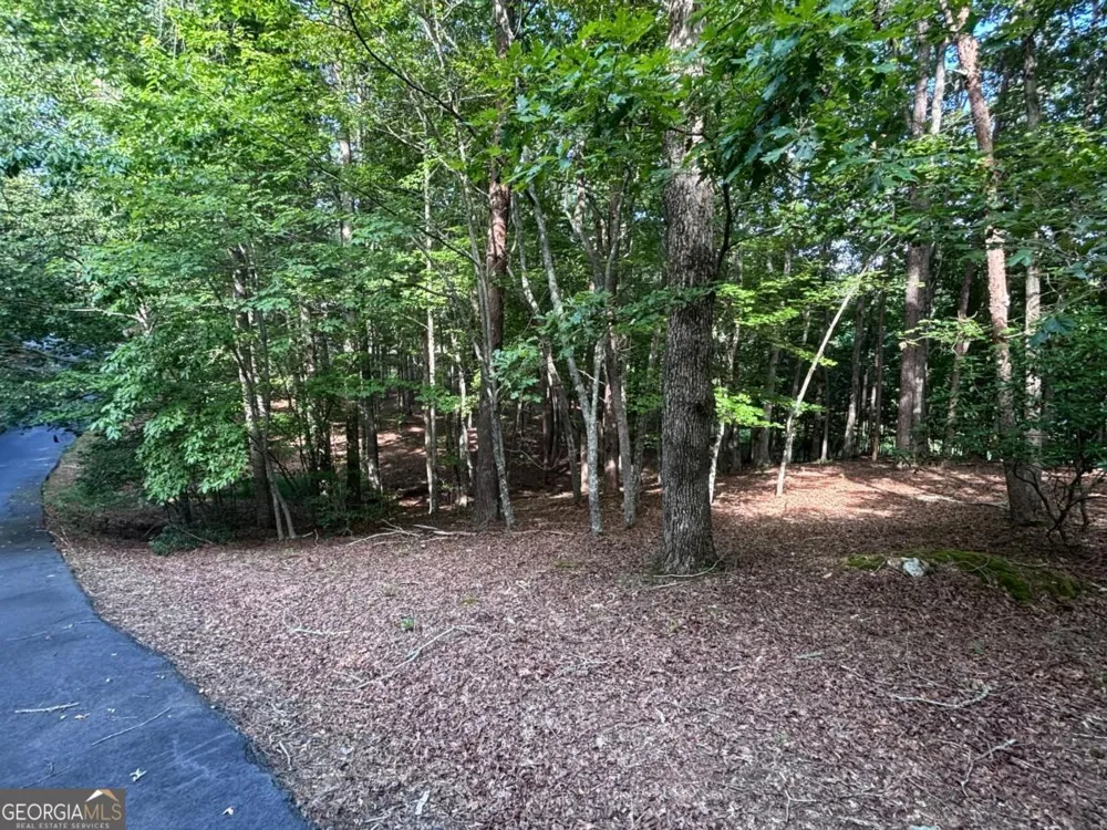 LOT 5 Westwood AVE Blairsville, GA 30512