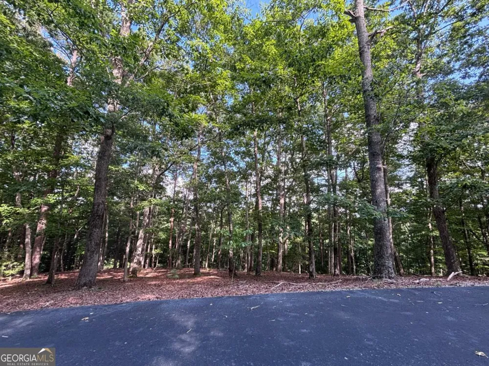LOT 5 Westwood AVE Blairsville, GA 30512