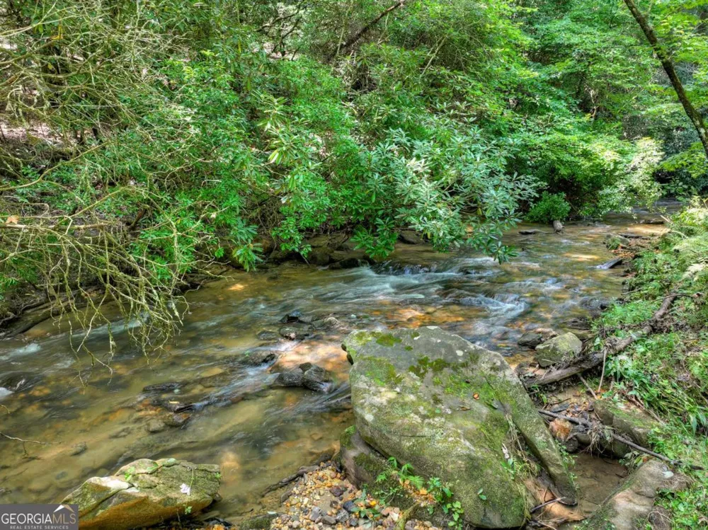 20 Bear TRL Ellijay, GA 30540