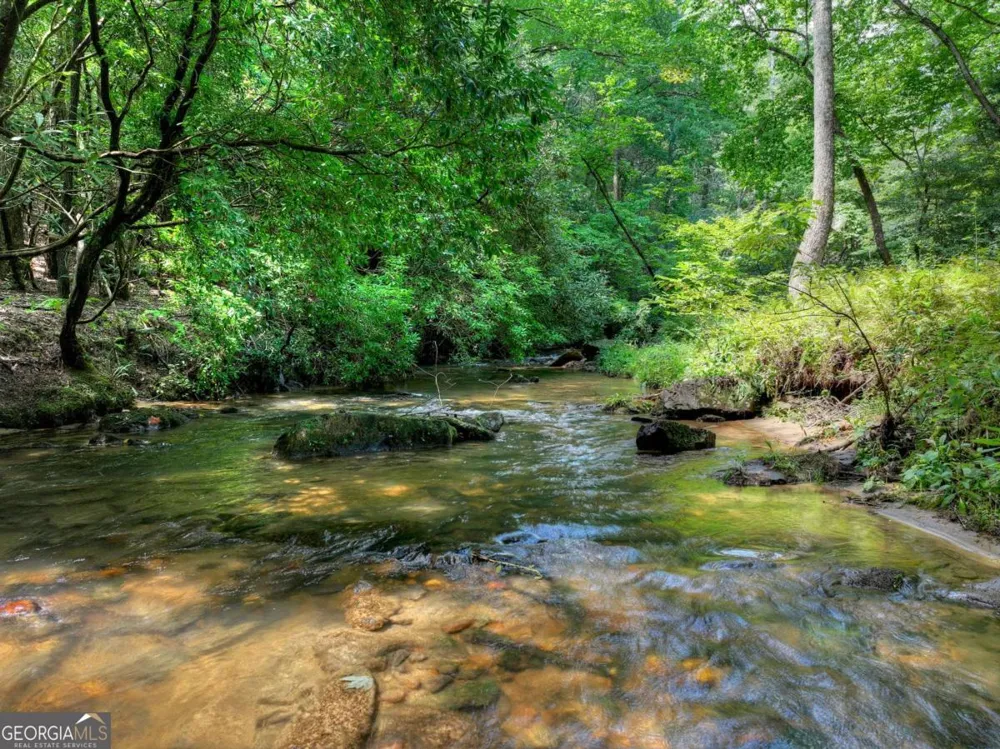 20 Bear TRL Ellijay, GA 30540
