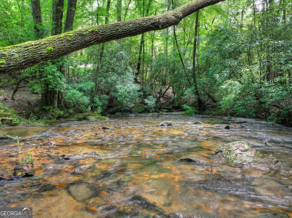 20 Bear TRL Ellijay, GA 30540