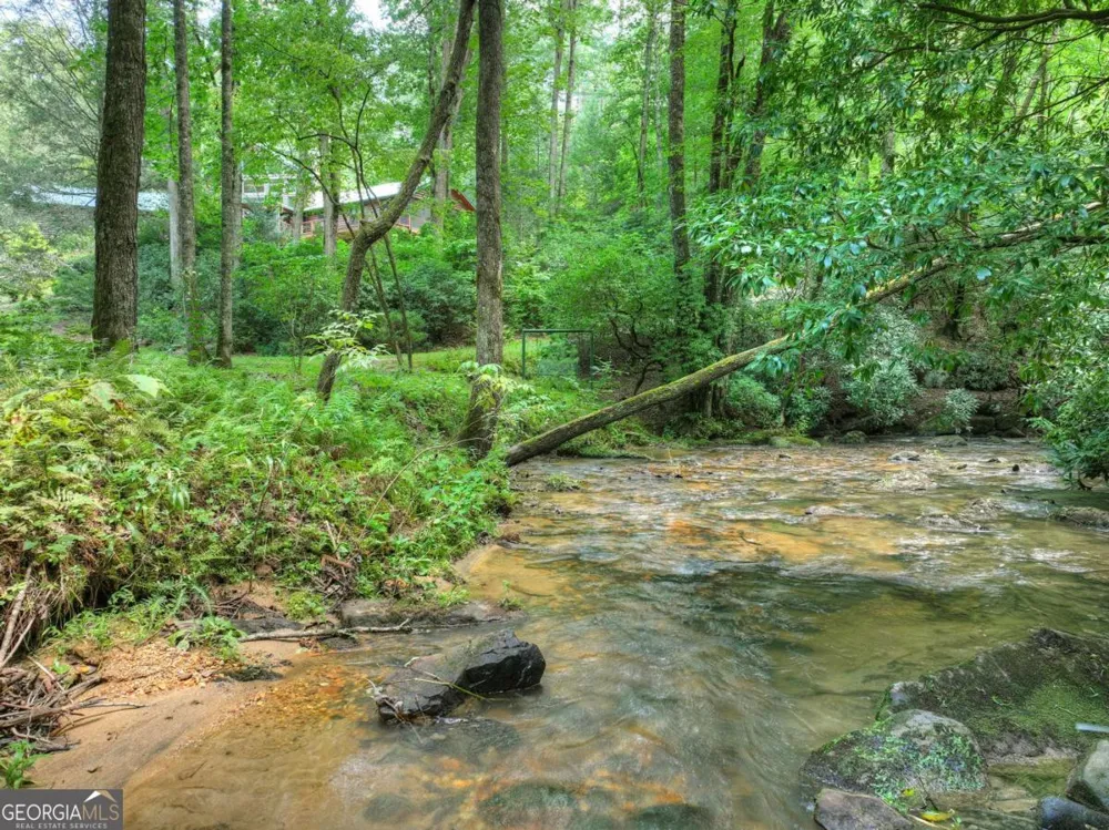 20 Bear TRL Ellijay, GA 30540