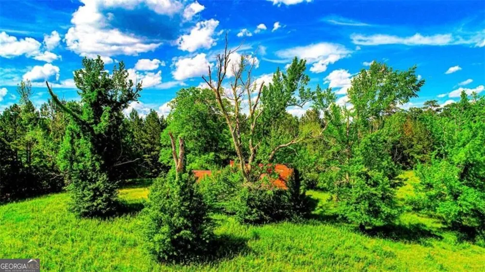4209 Giverny BLVD Fairburn, GA 30213