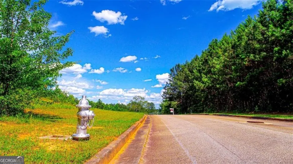 4209 Giverny BLVD Fairburn, GA 30213