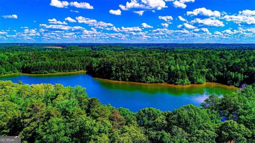4209 Giverny BLVD Fairburn, GA 30213