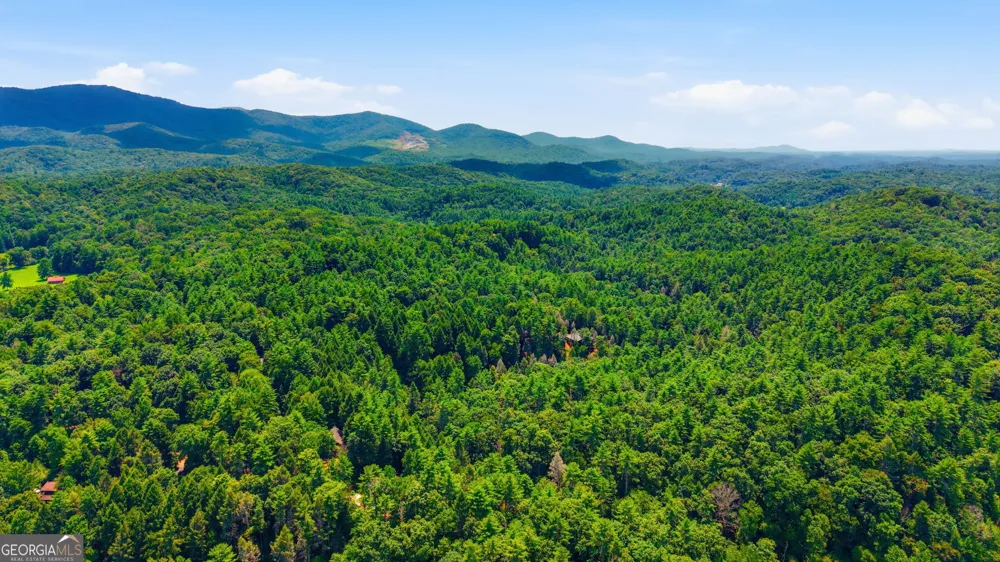 464 Whispering Pine LN Cherry Log, GA 30522