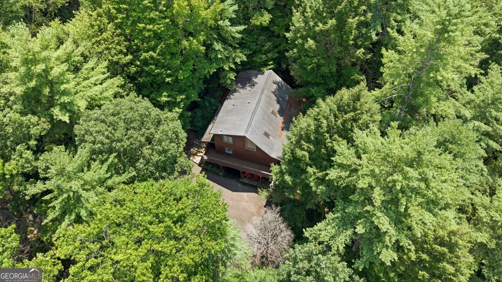 464 Whispering Pine LN Cherry Log, GA 30522