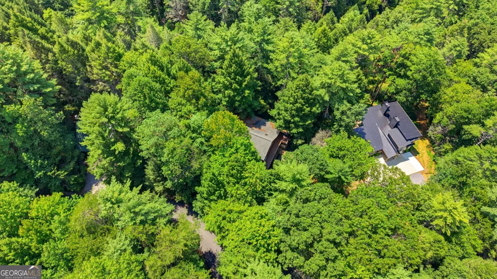 464 Whispering Pine LN Cherry Log, GA 30522