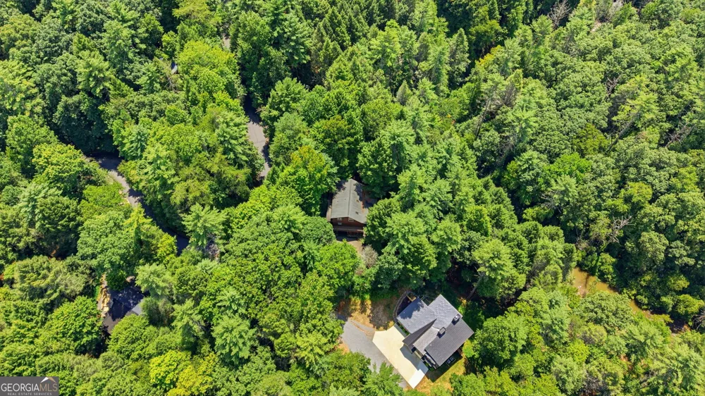 464 Whispering Pine LN Cherry Log, GA 30522