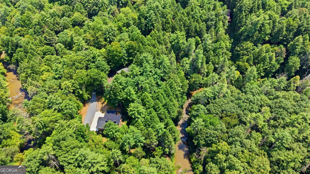 464 Whispering Pine LN Cherry Log, GA 30522