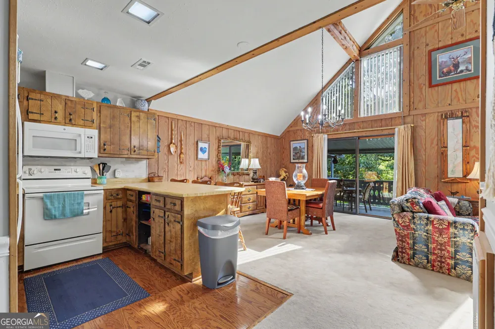 70 Spy Glass CIR Dillard, GA 30537