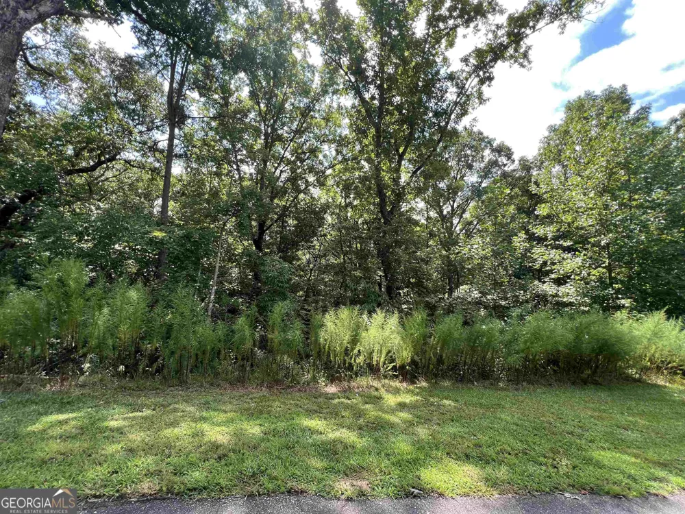 LOT 187 Northshore DR Cleveland, GA 30528