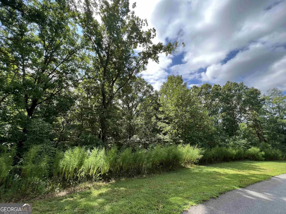 LOT 187 Northshore DR Cleveland, GA 30528