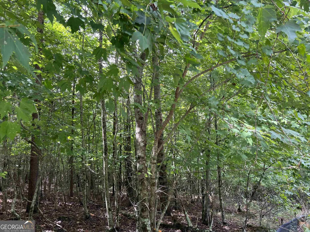 LOT 187 Northshore DR Cleveland, GA 30528