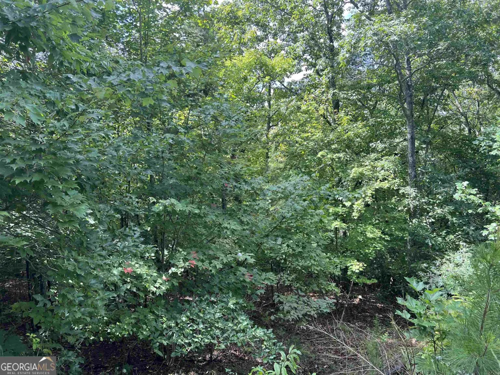 LOT 187 Northshore DR Cleveland, GA 30528