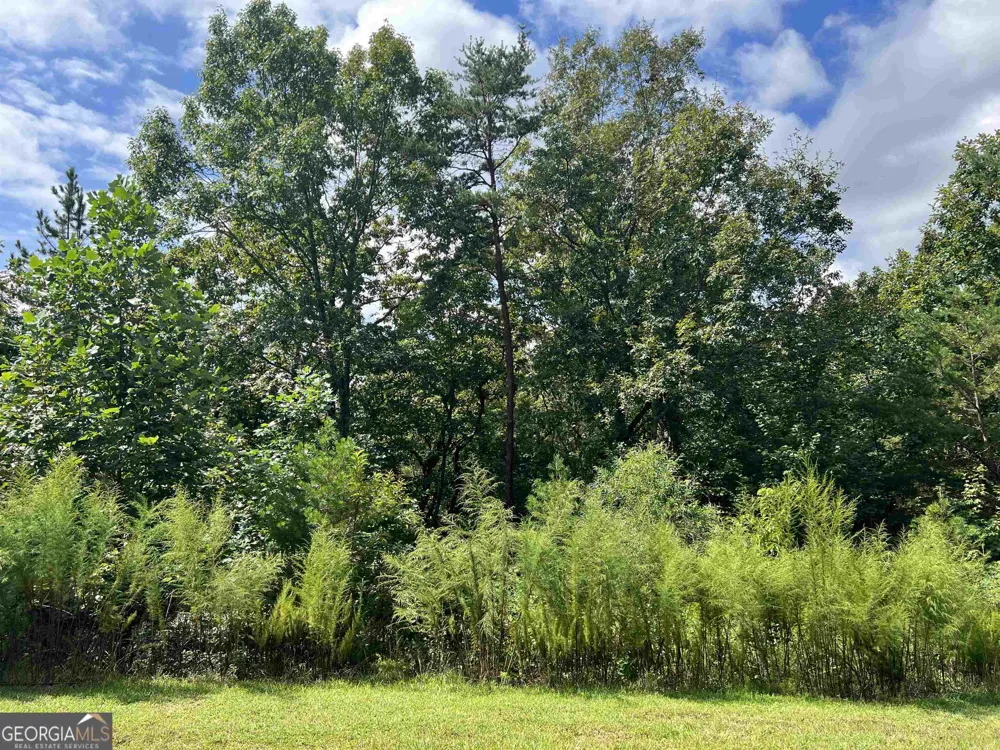 LOT 187 Northshore DR Cleveland, GA 30528