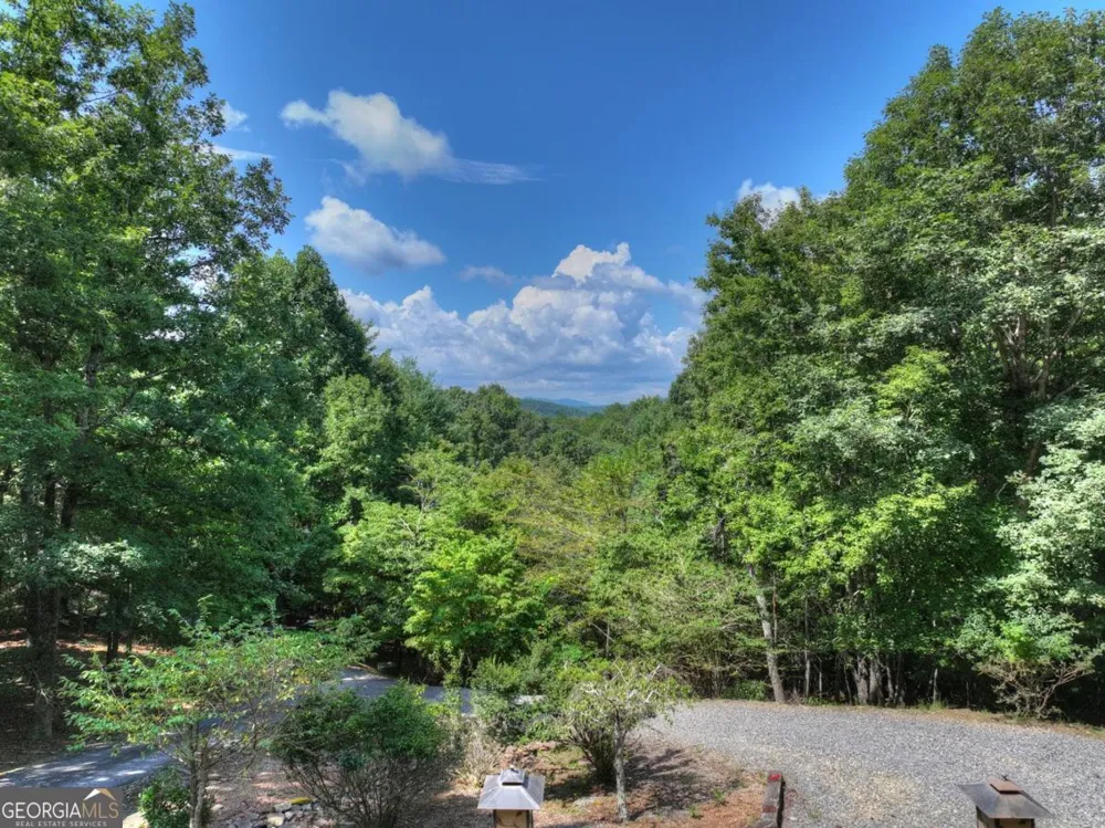 85 Squirrel Chase Morganton, GA 30560