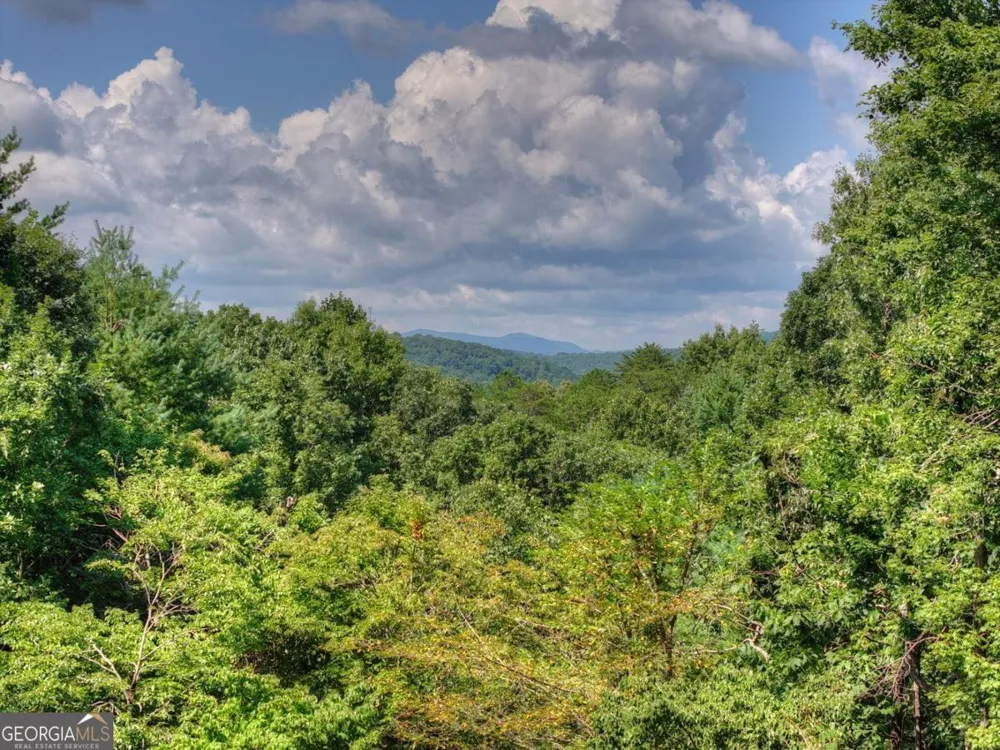 85 Squirrel Chase Morganton, GA 30560