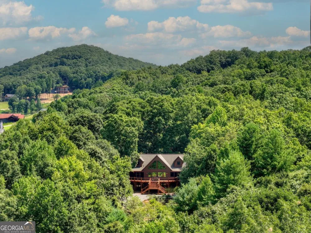 85 Squirrel Chase Morganton, GA 30560