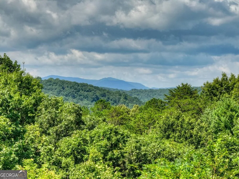 85 Squirrel Chase Morganton, GA 30560
