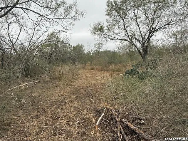 0 Gidley Atascosa, TX 78002