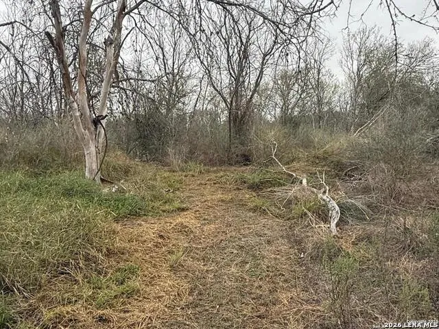 0 Gidley Atascosa, TX 78002