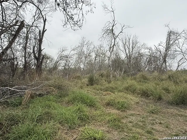0 Gidley Atascosa, TX 78002