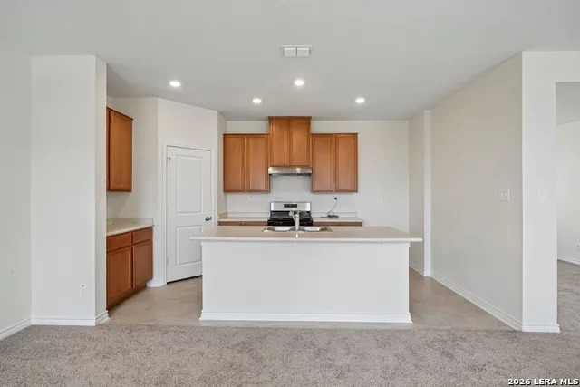 10049 JAGGER AVENUE Converse, TX 78109