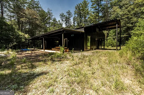100 Ford LN
