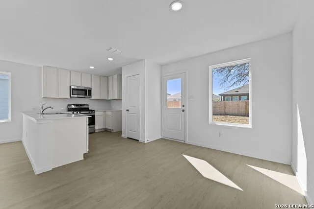 101 Ellendale Place Fredericksburg, TX 78624