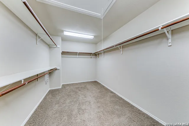 302 Eglington Way Cibolo, TX 78108
