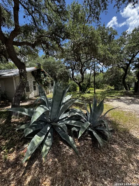 9317 Park Road 37 Lakehills, TX 78063