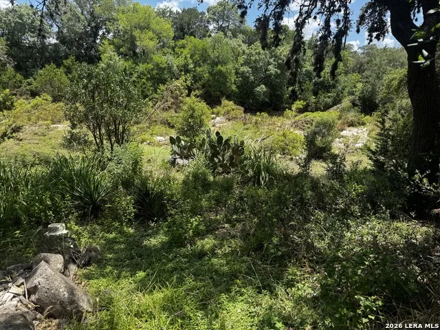 9317 Park Road 37 Lakehills, TX 78063