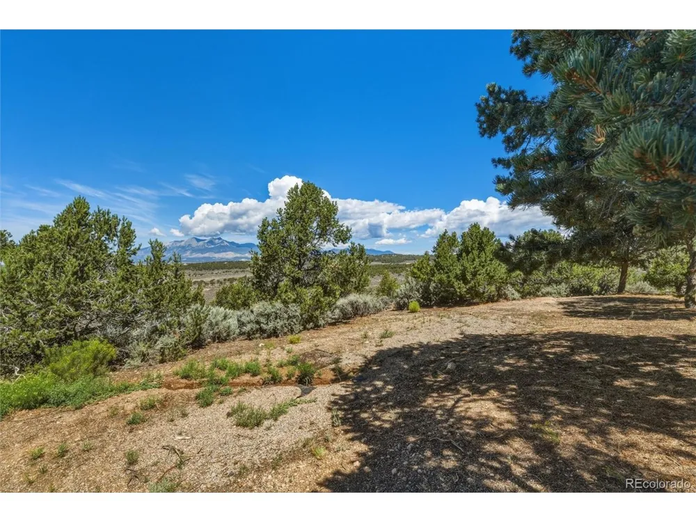 7002 Valerie Road Fort Garland, CO 81133